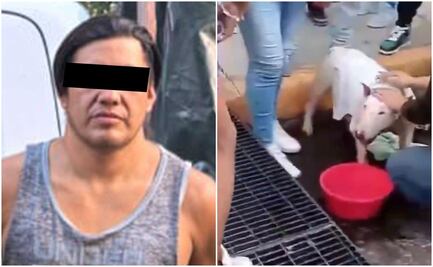 VIDEO: SSC rescata a dos perritos encerrados en camioneta; dueño es detenido por presunto caso de maltrato animal