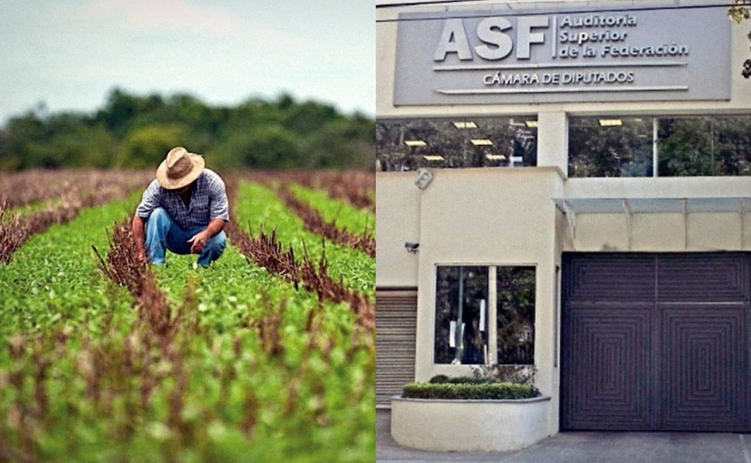 Foto: Archivo EL UNIVERSAL