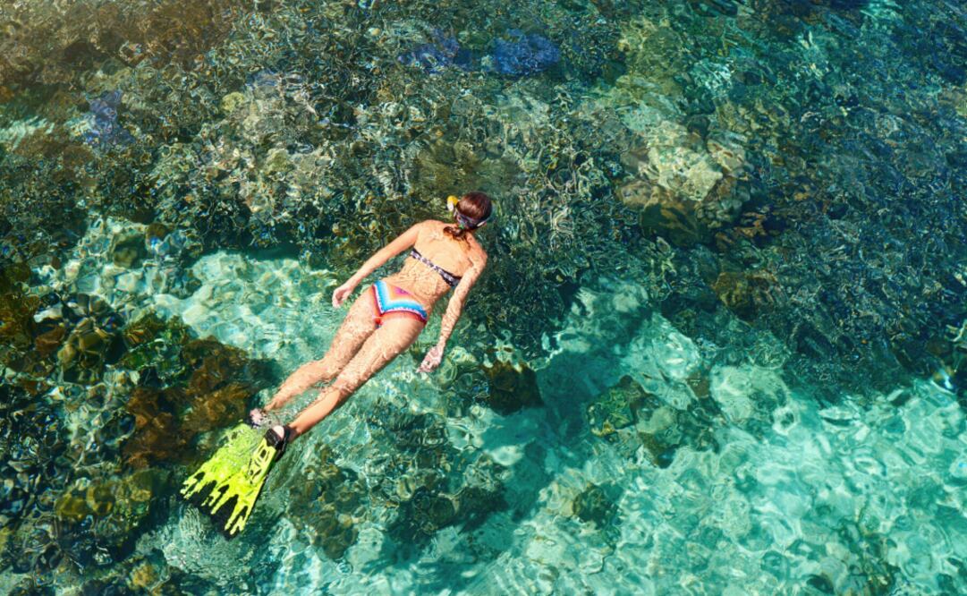 Aquí se produce la Pinctada radiata, una codiciada perla perfecta en tamaño y color. (Foto: Juan Carlos Angulo)