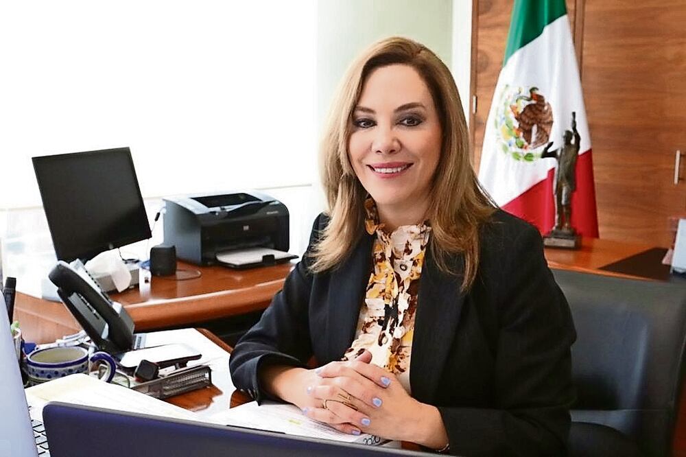 La comisionada Blanca Lilia Ibarra exhortó a invertir y poner en operación programas y políticas en materia de ciberseguridad. Foto: Especial