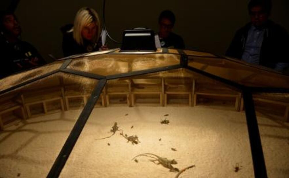 Guggenheim muestra las críticas de China contra globalización