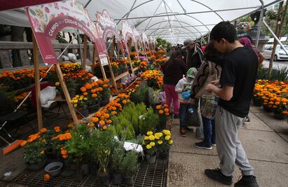 Sin importar el frío, capitalinos asisten a la Feria del Festival Flores de Otoño