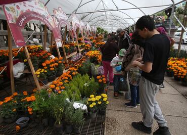 Sin importar el frío, capitalinos asisten a la Feria del Festival Flores de Otoño