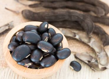 Mucuna, el frijol terciopelo milagroso