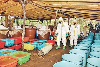 Marina arrebata narcolaboratorio a Cártel de Sinaloa