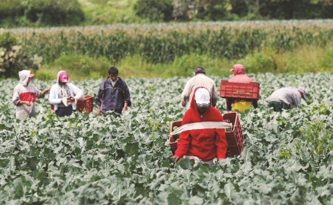 Foto: Archivo EL UNIVERSAL