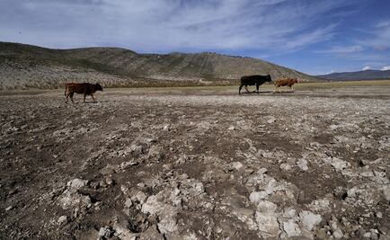 Más del 66% del país presenta algún grado de sequía: Conagua