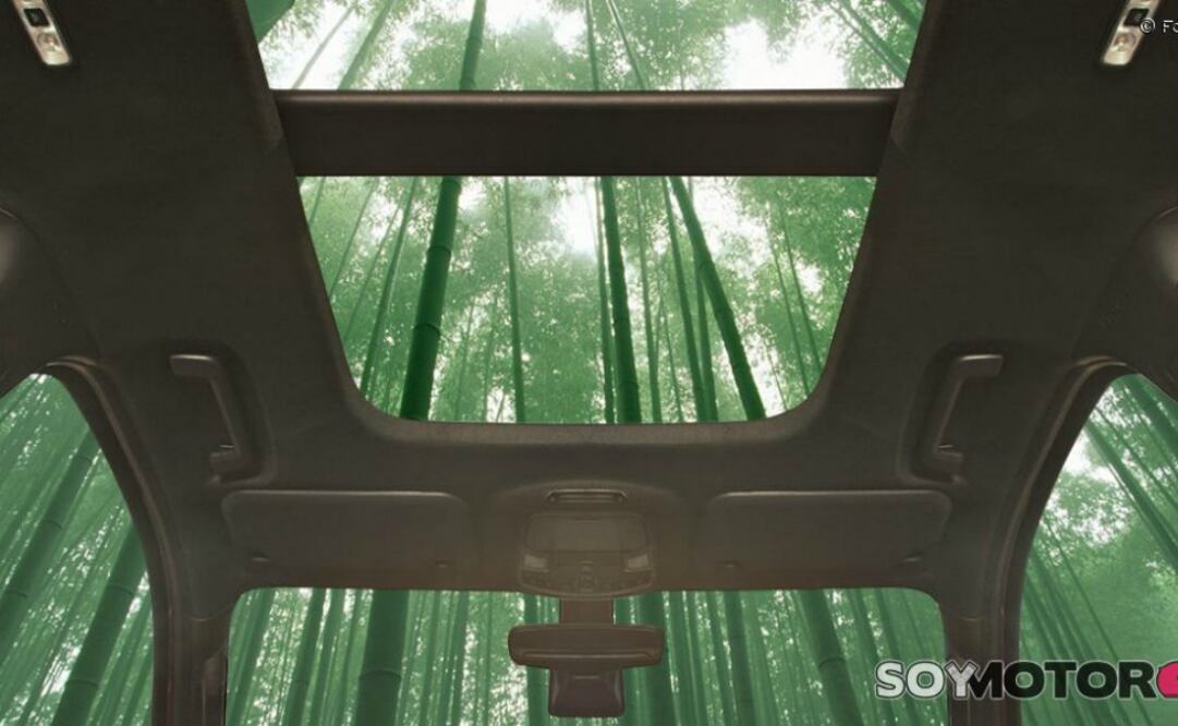 Ford evalúa usar bambú en algunas piezas de sus autos