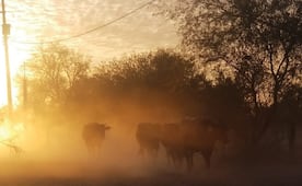 Fenómeno de "El Niño" provocará un verano de calor extremo en México; prevén pérdidas de cosechas por sequías