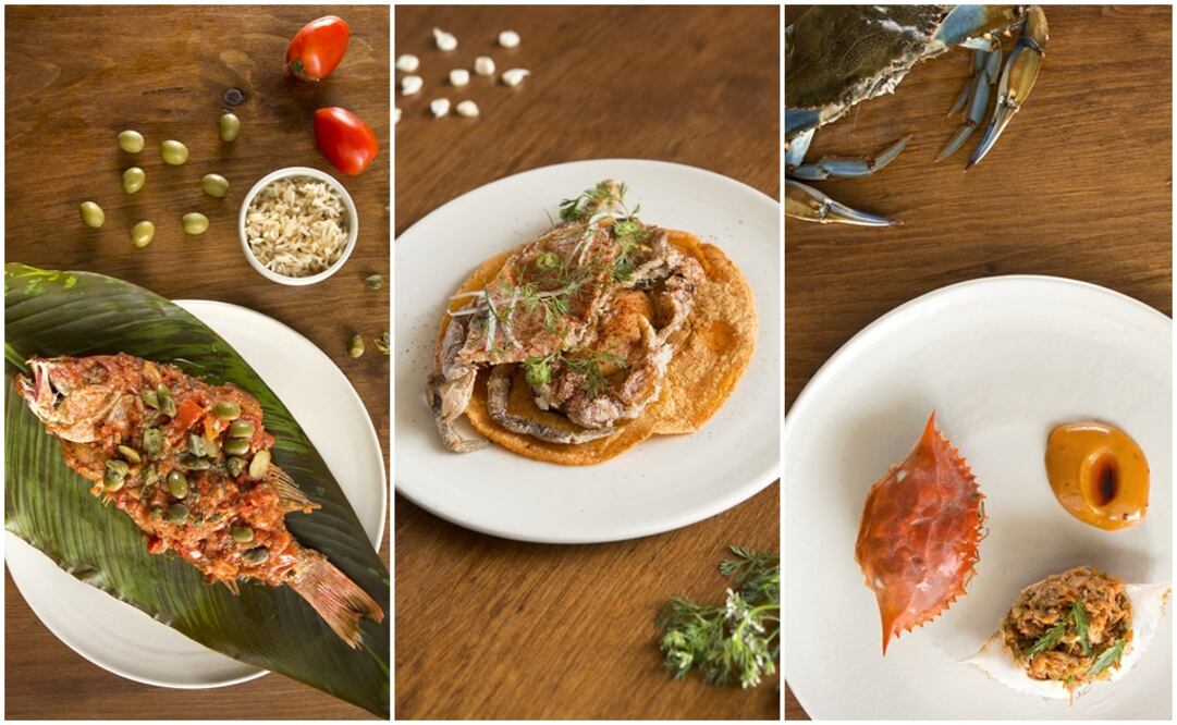 Fotos: Daniela Torres para Diagonal Producciones / El Universal