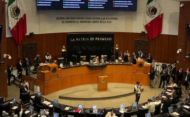 Senado urge a fortalecer el programa de vacunación universal, ante brotes como el sarampión; busca un sistema de salud eficaz