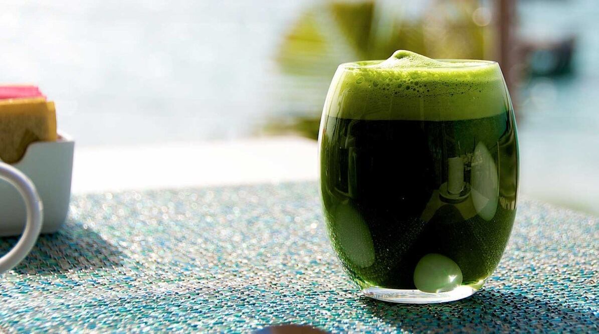 La chaya recibe el nombre científico de Cnidoscolus chayamansa / Foto: Consejo Nacional de Ciencia y Tecnología