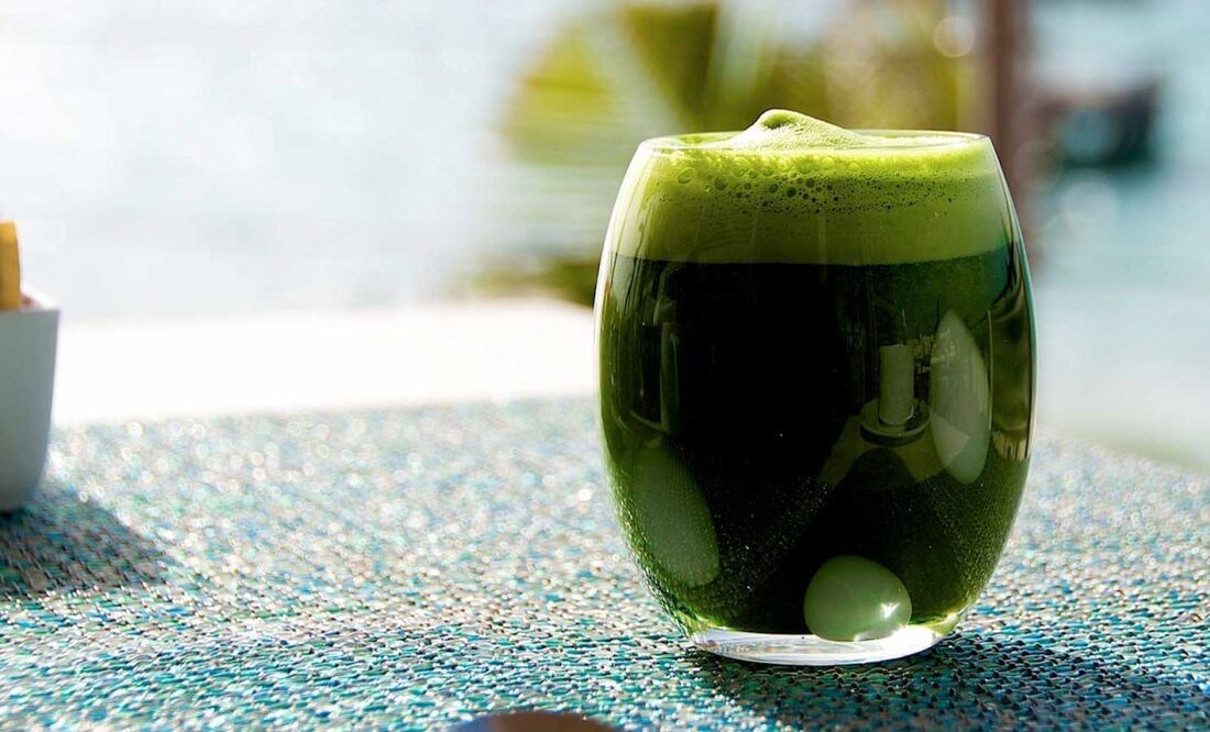 La chaya recibe el nombre científico de Cnidoscolus chayamansa / Foto: Consejo Nacional de Ciencia y Tecnología