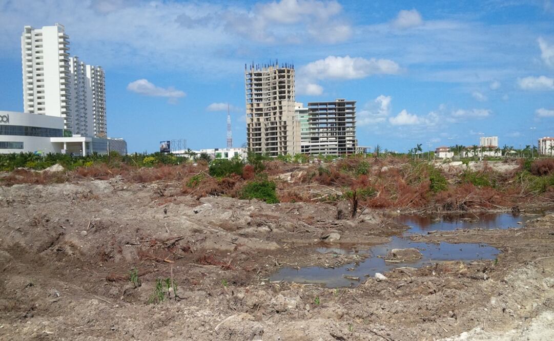 Hoteleros confirman proyecto naviero en "malecón Tajamar"