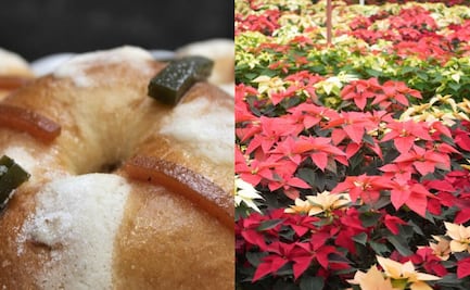 Panaderos van por 9 mil 400 toneladas de Rosca de Reyes este 2025: Canaipa; floricultores sembraron 40 millones de flores