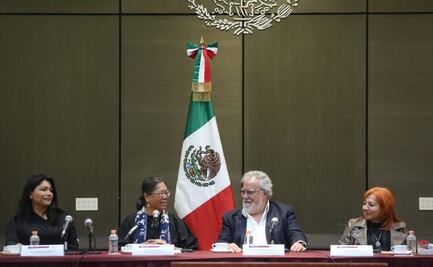 Relatoria de ONU para desplazados pide a Gobierno atención integral con enfoque de derechos humanos