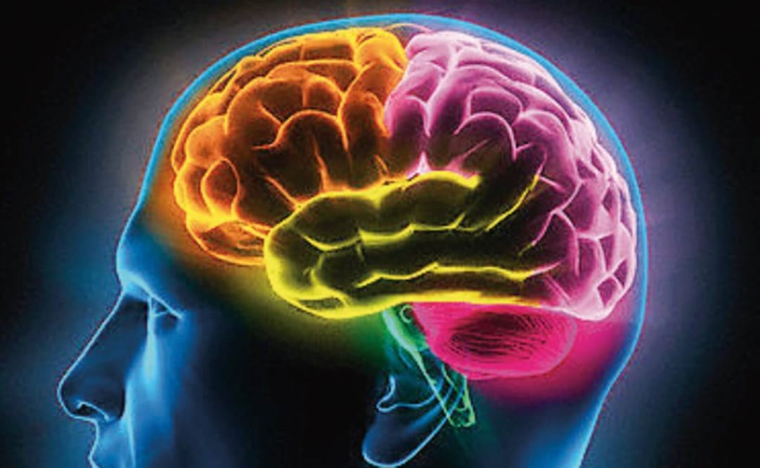 Las personas llevan una vida normal pero sin imágenes mentales. Foto: Archivo