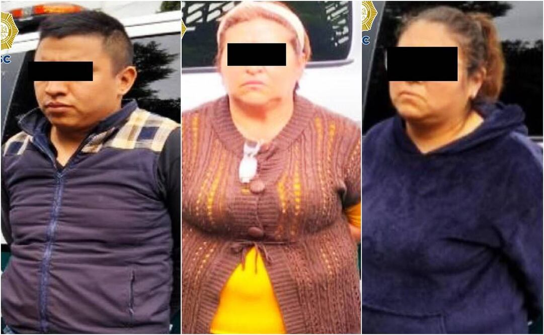 Caen 3 personas por tala clandestina en Tlalpan. Foto: Especial