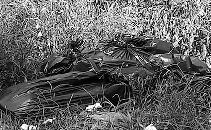 Hallan restos de 5 cuerpos en bolsas negras en zona montañosa de Veracruz