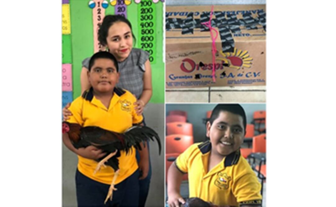 Dicha publicación se hizo viral por el tierno gesto del alumno. Foto: Tomada de Facebook de Esthefany Gpe Gutiérrez Hernández