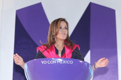 Debe PAN pedir perdón por diputada: Zavala