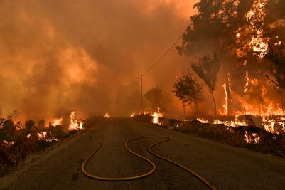 Portugal declara estado de desastre mientras los incendios arden sin control