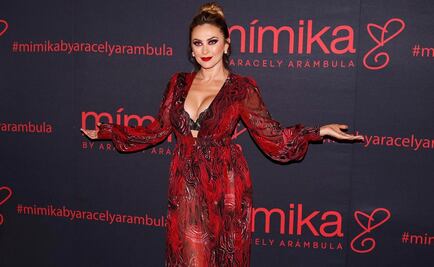 Aracely Arámbula: "Hoy no quiero hablar de Luis Miguel"