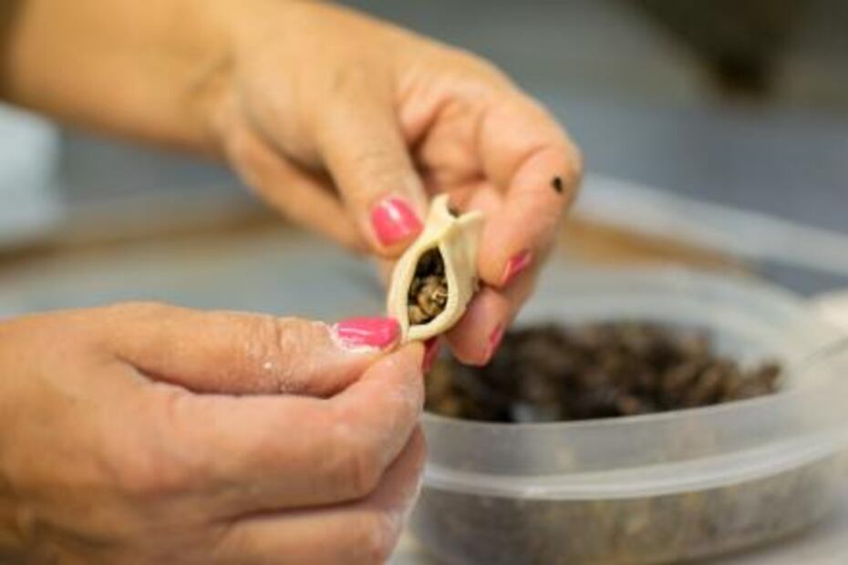 #RECETA Prepara vareniki, platillo tradicional ruso