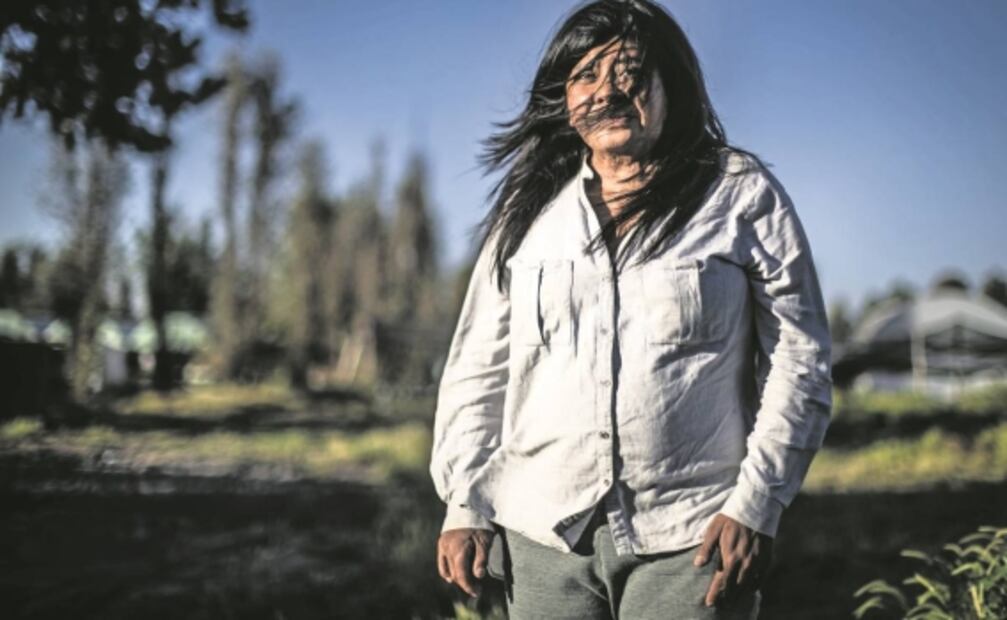 Elisa y Ana Elena, dos rostros de la violencia ácida que corroe a México 