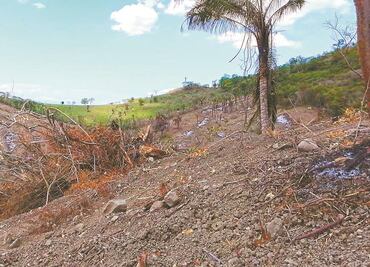 Dictaminan daños al patrimonio en El Tajín