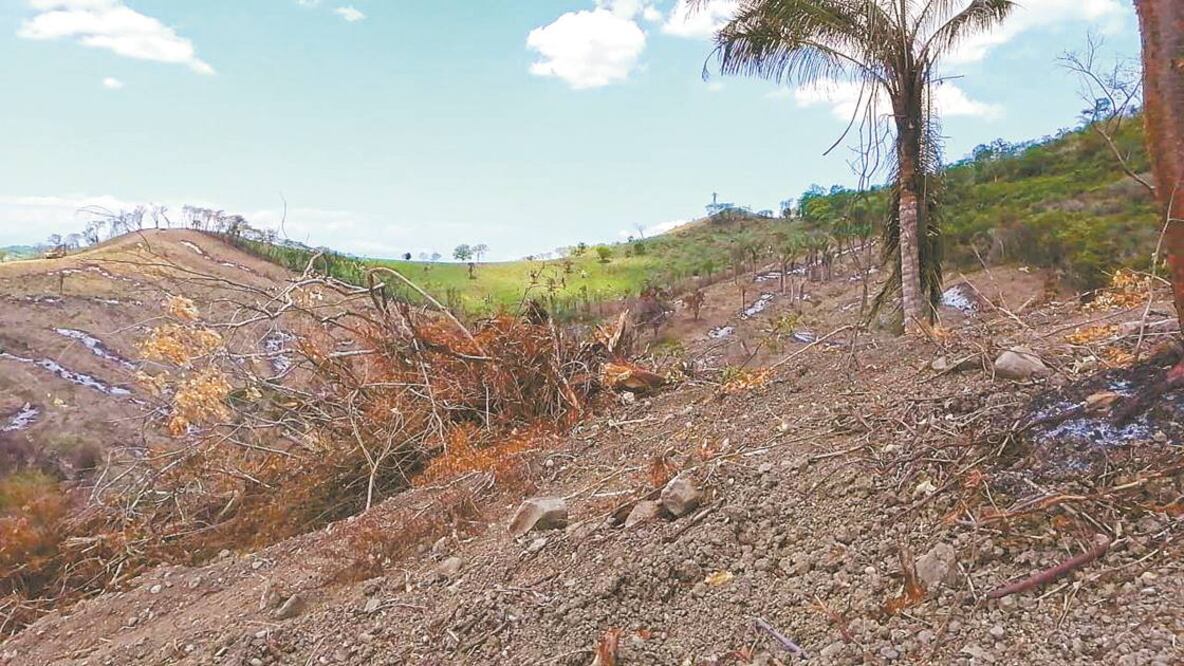 Los trabajos con maquinaria pesada dañaron algunas plataformas del sitio. Foto/CORTESÍA INAH