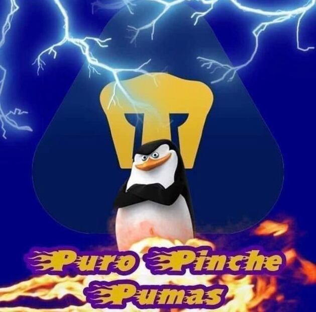 Así la respuesta en redes sociales, tras el partido entre Pumas y Necaxa - Foto: Especial