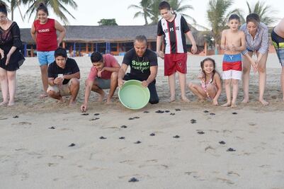“Súper tortugo” el guardián de las tortugas en Guerrero