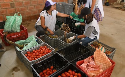 Lamenta sector agropecuario propuesta de limitar importaciones de alimentos