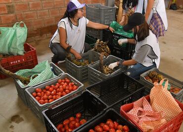 Lamenta sector agropecuario propuesta de limitar importaciones de alimentos