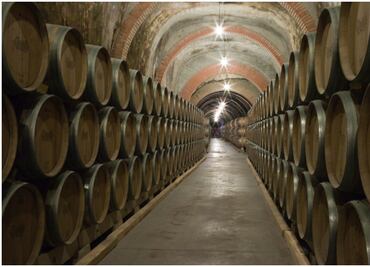 Protos: la ruta hacia los grandes vinos