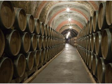 Protos: la ruta hacia los grandes vinos