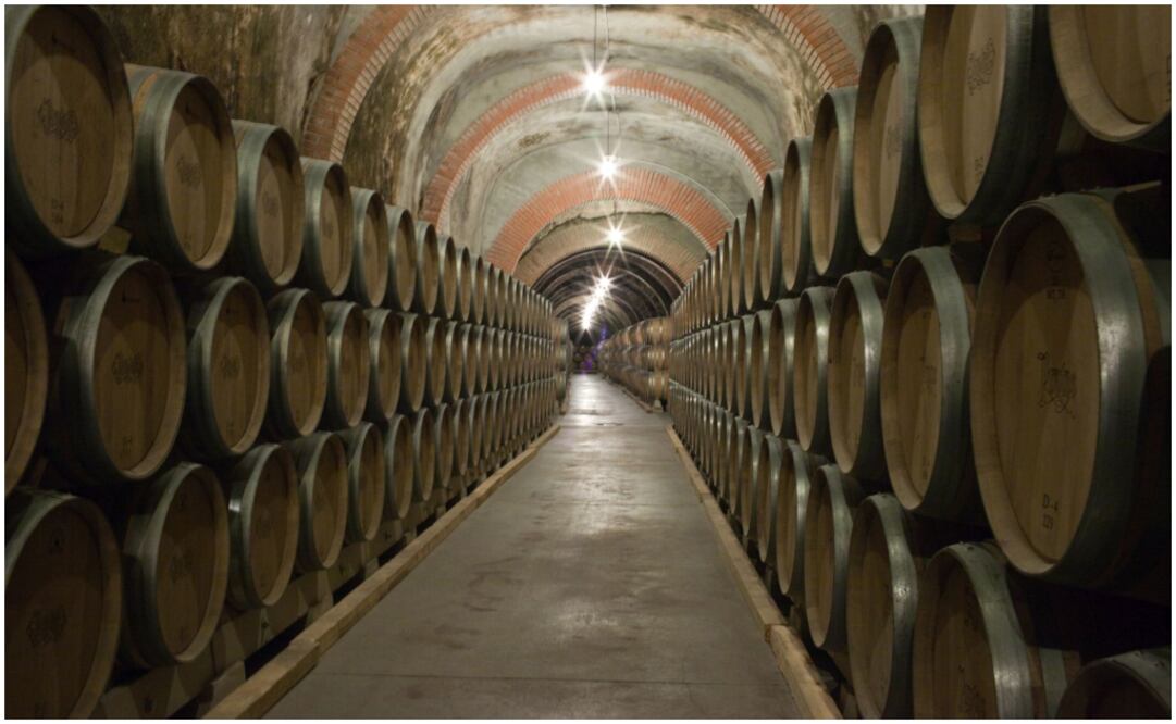 Foto: Rubén Hernández/ Bodega Protos