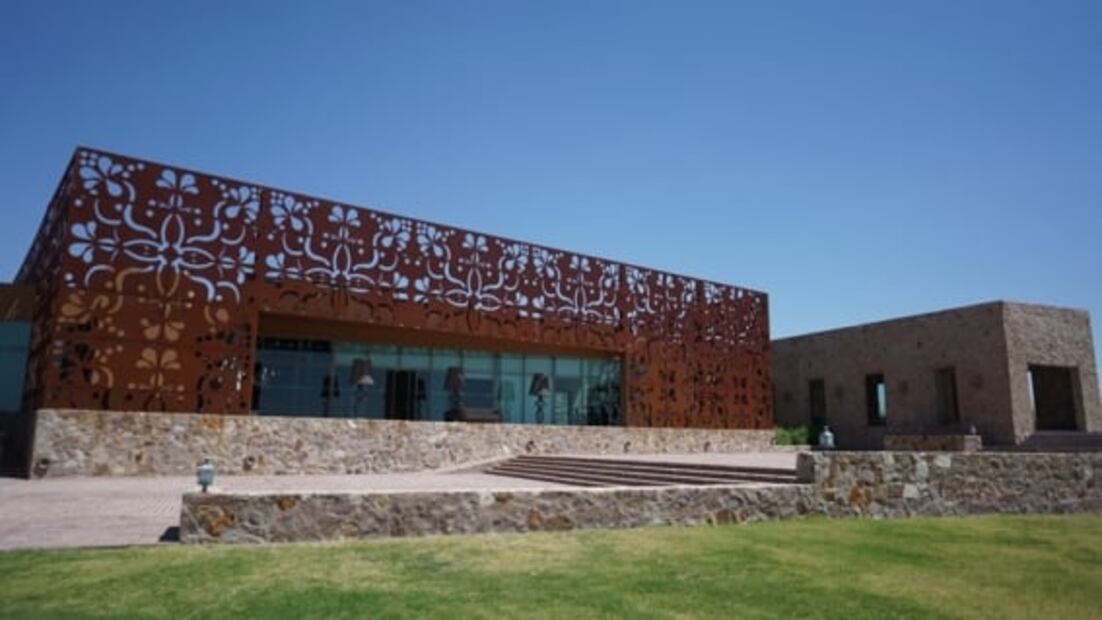 Guanajuato avanza en el mercado vinícola