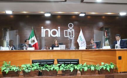 INAI seguirá promoviendo la transparencia para combatir la corrupción: Blanca Lilia Ibarra