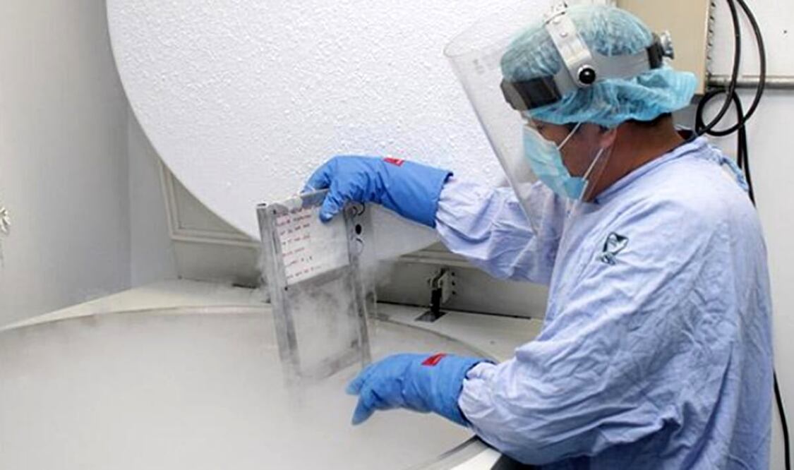 El Banco de células está ubicada dentro del Banco de Sangre del Centro Médico Nacional La Raza. Foto: especial