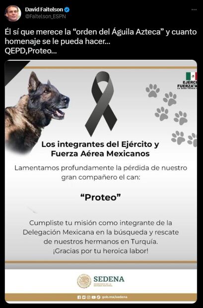 David Faitelson lamenta la muerte de Proteo, perro rescatista mexicano que ayudaba en Turquía