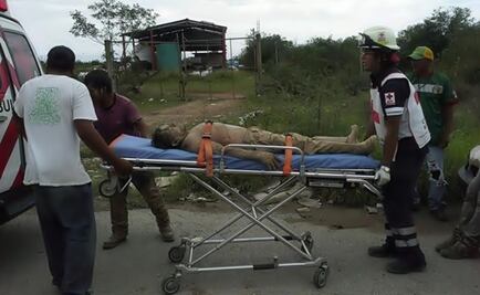 Garbage picker saves girl from African bees