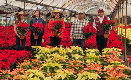 ¿Ya sabes dónde conseguir tus nochebuenas para esta temporada en la CDMX? Aquí te decimos