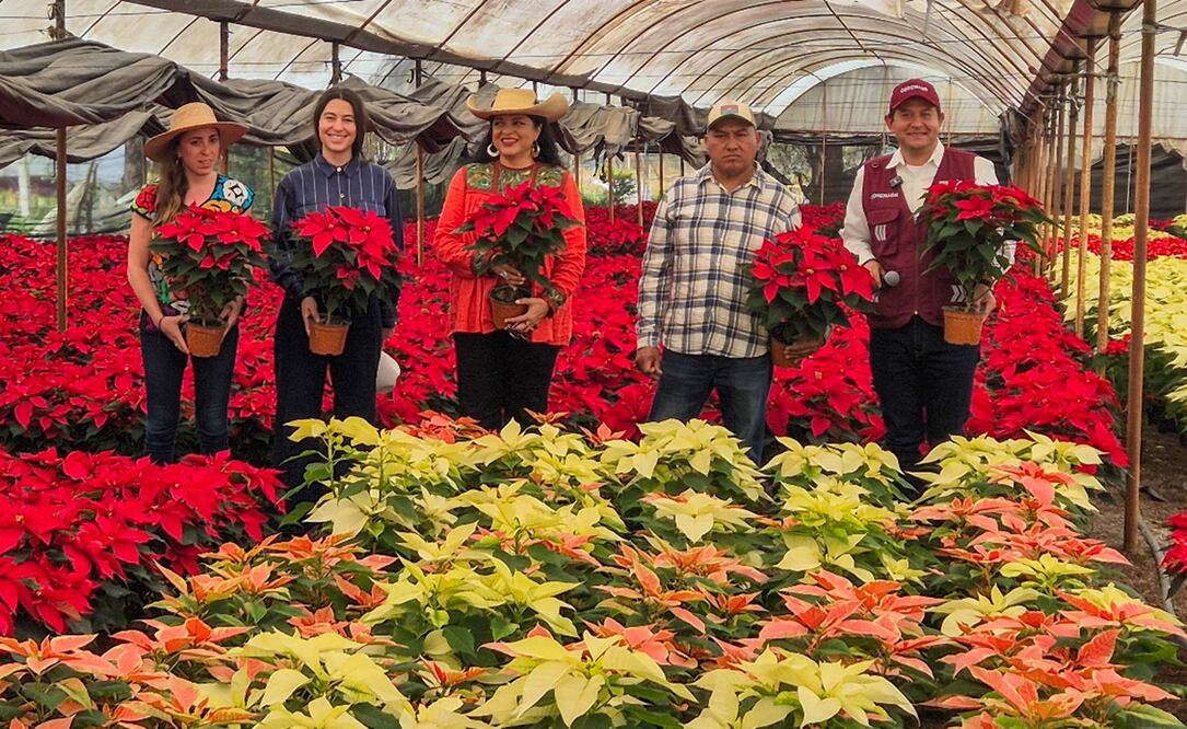 Venta de nochebuena en Xochimilco. Foto: Jorge Medellín/EL UNIVERSAL