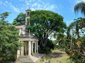 Recorre la ruta del café de Veracruz en 3 pueblos mágicos