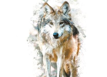 El lobo mexicano deja la lista de especie extinta