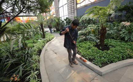 Moléculas de plantas ayudarían a combatir trastornos mentales