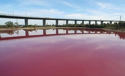 El agua de un lago australiano se tiñe de rosa