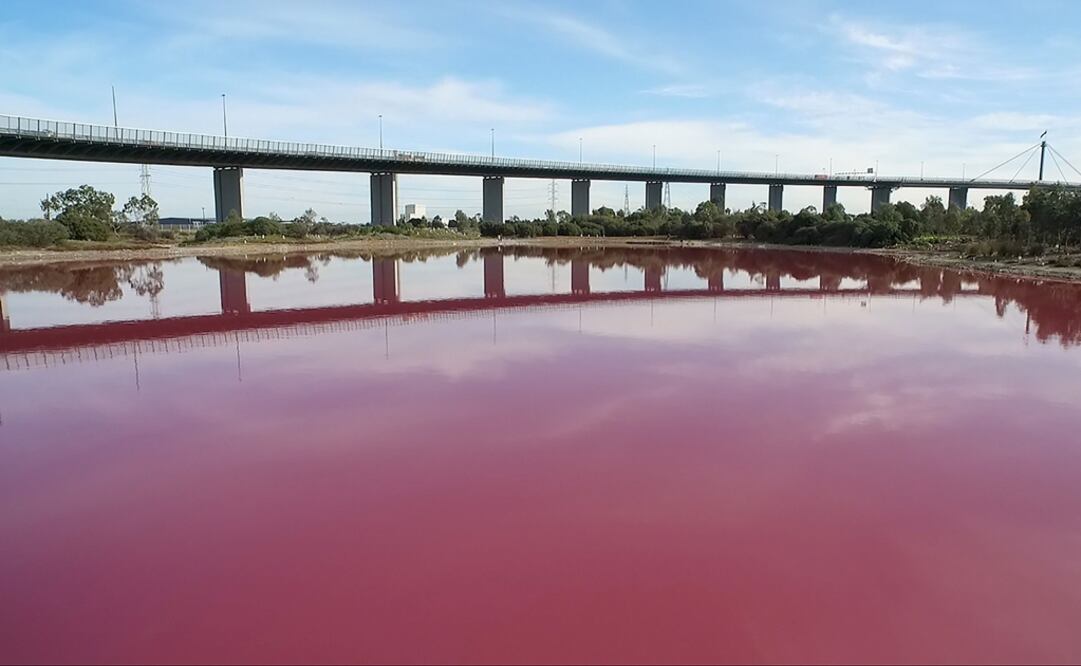 El lago en el parque Westgate Park atrae a más de 140 especies de pájaros. Foto: AFP